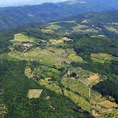 Cozy With Pool